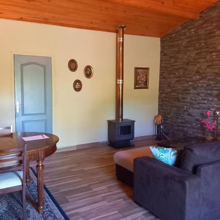 Apartament O Ninho Do Rei Vila de Rei Zewnętrze zdjęcie