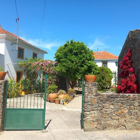 Apartament O Ninho Do Rei Vila de Rei Zewnętrze zdjęcie