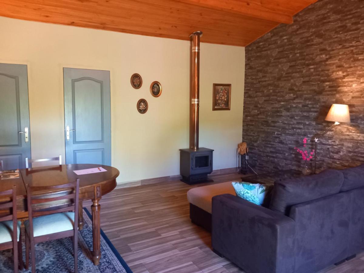 Apartament O Ninho Do Rei Vila de Rei Zewnętrze zdjęcie