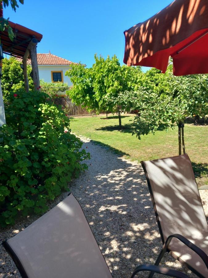Apartament O Ninho Do Rei Vila de Rei Zewnętrze zdjęcie