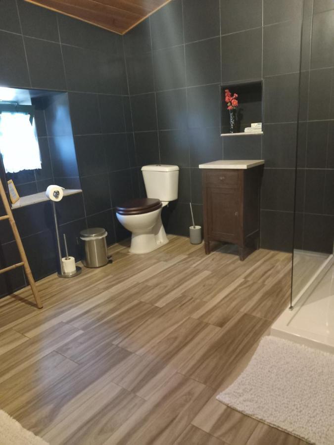 Apartament O Ninho Do Rei Vila de Rei Zewnętrze zdjęcie