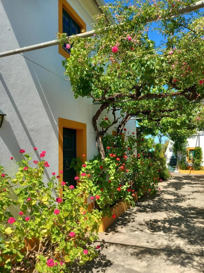 Apartament O Ninho Do Rei Vila de Rei Zewnętrze zdjęcie