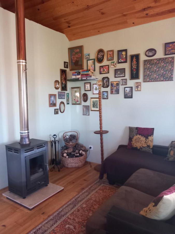 Apartament O Ninho Do Rei Vila de Rei Zewnętrze zdjęcie