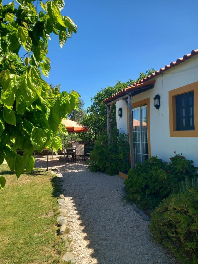 Apartament O Ninho Do Rei Vila de Rei Zewnętrze zdjęcie