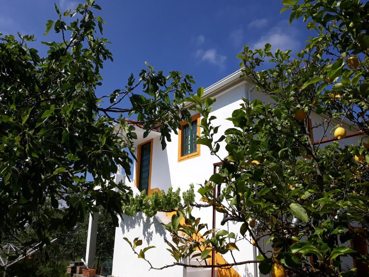 Apartament O Ninho Do Rei Vila de Rei Zewnętrze zdjęcie
